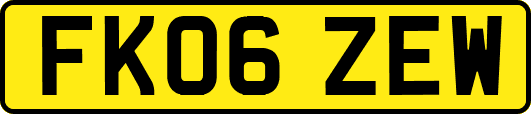 FK06ZEW