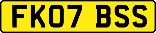 FK07BSS