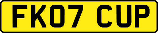FK07CUP