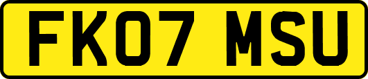 FK07MSU
