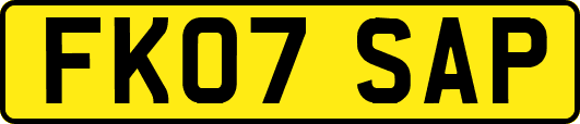 FK07SAP