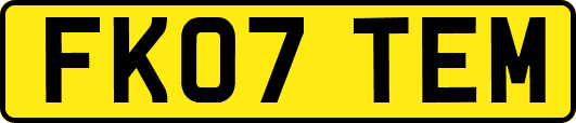 FK07TEM
