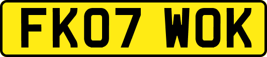 FK07WOK