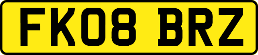 FK08BRZ