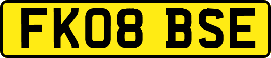 FK08BSE