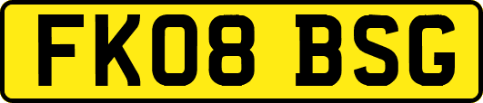 FK08BSG