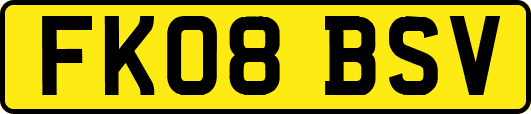 FK08BSV