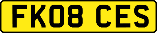 FK08CES