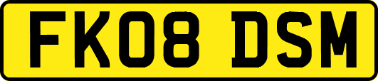 FK08DSM