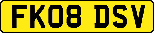 FK08DSV
