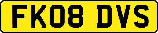 FK08DVS