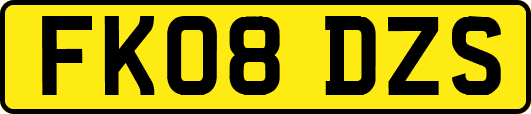 FK08DZS