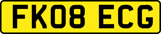 FK08ECG