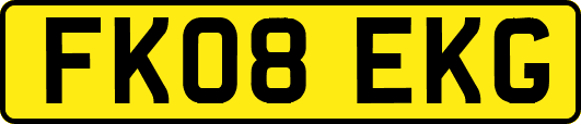 FK08EKG