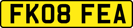 FK08FEA