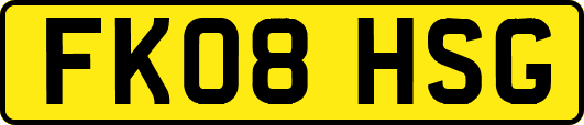 FK08HSG