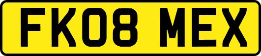 FK08MEX