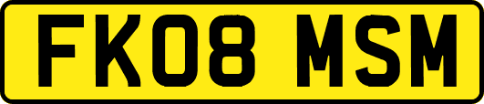 FK08MSM
