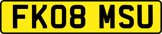 FK08MSU