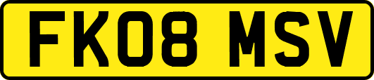 FK08MSV