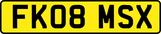 FK08MSX