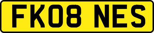 FK08NES
