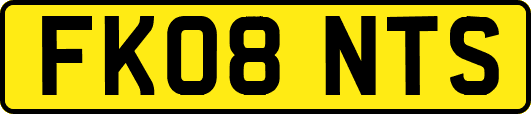 FK08NTS