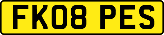 FK08PES