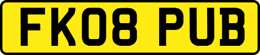 FK08PUB