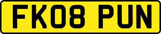 FK08PUN