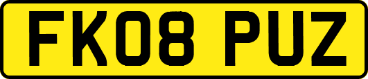 FK08PUZ