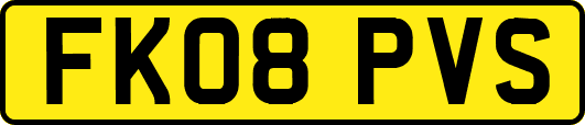 FK08PVS