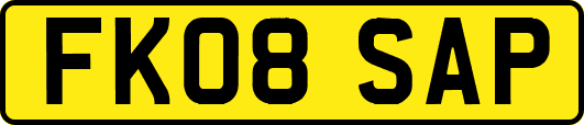 FK08SAP