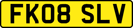 FK08SLV