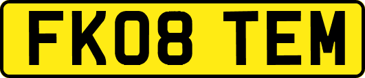 FK08TEM
