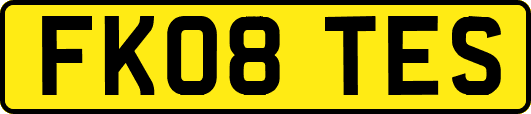 FK08TES