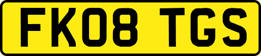 FK08TGS