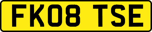 FK08TSE