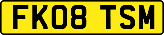FK08TSM