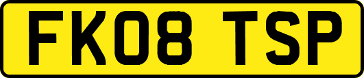 FK08TSP