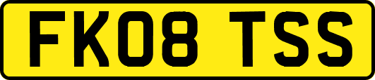 FK08TSS