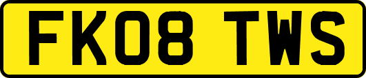 FK08TWS