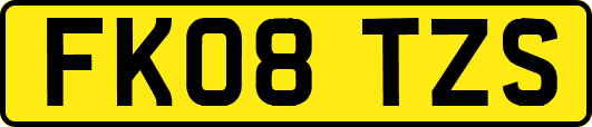 FK08TZS