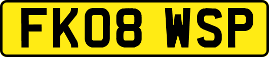 FK08WSP