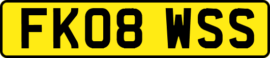 FK08WSS