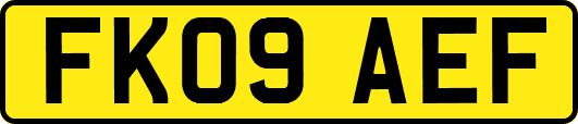 FK09AEF