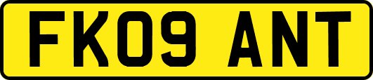 FK09ANT