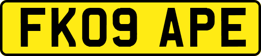 FK09APE