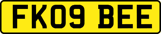 FK09BEE