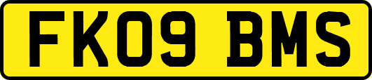 FK09BMS